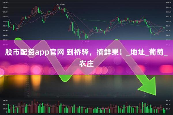 股市配资app官网 到桥驿，摘鲜果！_地址_葡萄_农庄