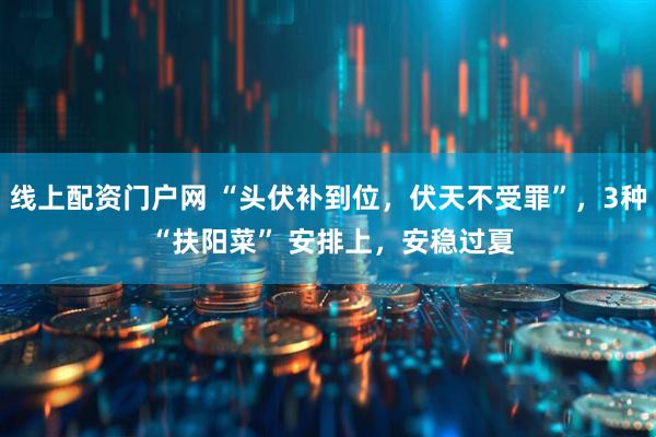 线上配资门户网 “头伏补到位，伏天不受罪”，3种 “扶阳菜” 安排上，安稳过夏